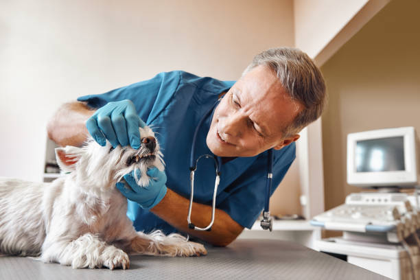 Best Dentist for Tooth Abscess  in Fosston, MN